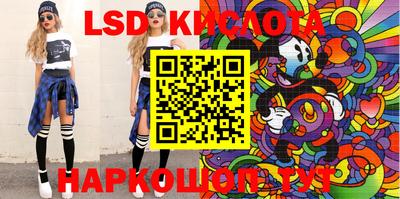 шишки Можга