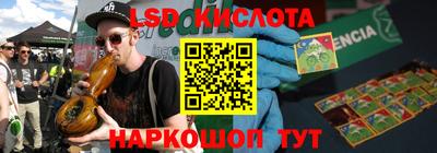 шишки Можга