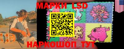 шишки Можга