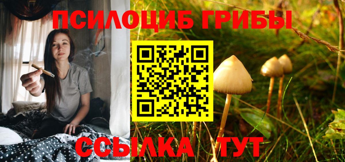 Псилоцибиновые грибы мицелий  Вход с VPN  Галлюциногенные грибы Psilocybine cubensis  Губаха 